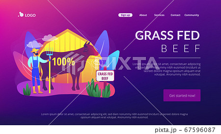 Grass fed beef concept landing page. 67596087
