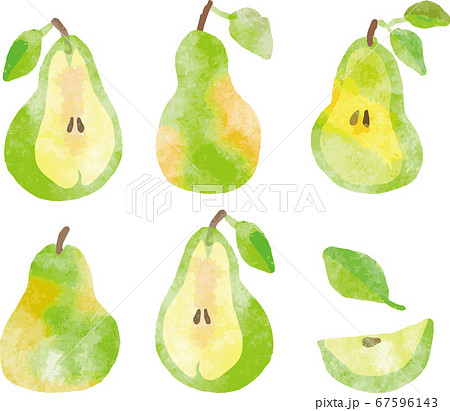 Pear Simple Substance Watercolor Stock Illustration