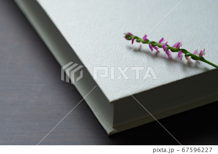 花の置かれた白い表紙の本 花の置かれた白い表紙の本 67596227