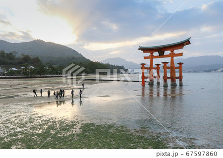 広島県　秋　廿日市市　安芸の宮島　大鳥居　厳島神社 67597860