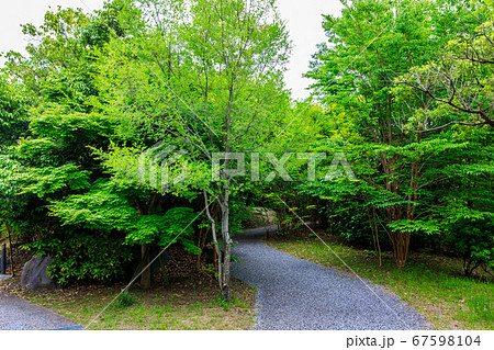アイランドシティ 照葉の森公園 福岡市東区 の写真素材