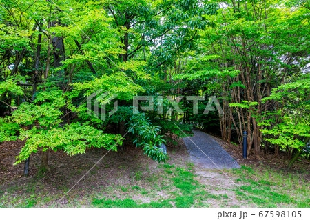 アイランドシティ 照葉の森公園 福岡市東区 の写真素材