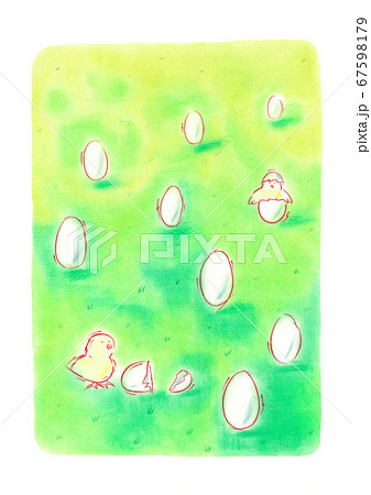 芝生の上のたくさんの卵が1匹、2匹とひなが孵っている 芝生の上のたくさんの卵が1匹、2匹とひなが孵っている 67598179