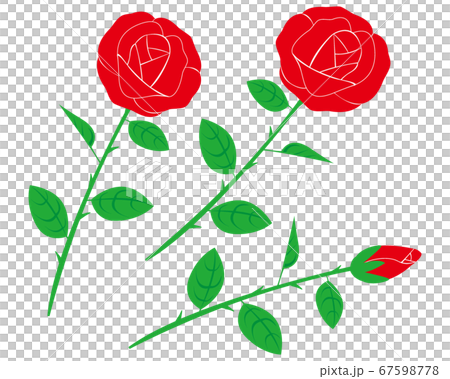 紅玫瑰花朵矢量圖 67598778