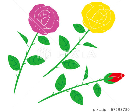 バラの花のベクターイラスト 67598780
