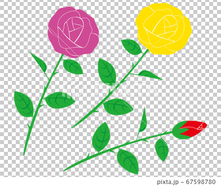 バラの花のベクターイラスト 67598780