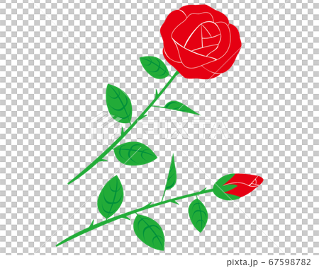 赤いバラの花のベクターイラスト 67598782