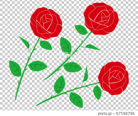 紅玫瑰花朵矢量圖 紅玫瑰花朵矢量圖 67598786