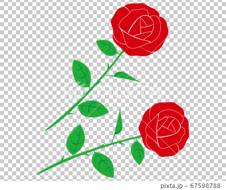 赤いバラの花のベクターイラスト 67598788