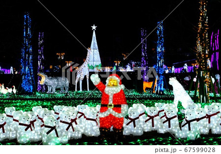 イルミネーション 67599028