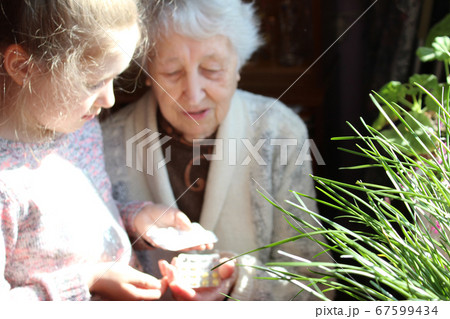 Midsection of care aid giving medicines to resident in nursing home 67599434