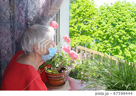 The Covid-19, health, safety and pandemic concept - senior old lonely woman sitting near the window 67599444