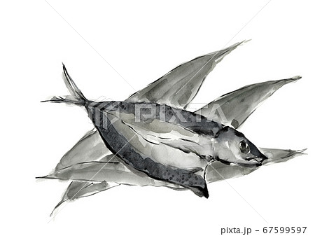 笹とサバ 一夜干し 干物 モノトーン【水墨画風】   67599597