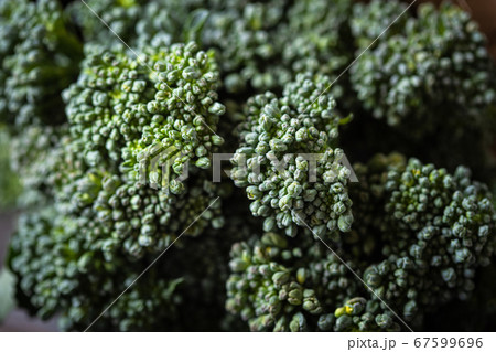 Bunch of broccolini. 67599696