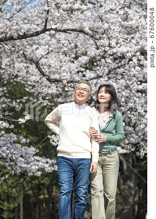 花見をするミドル夫婦 67600048