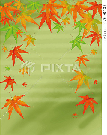 抹茶色背景の紅葉のイラストのイラスト素材