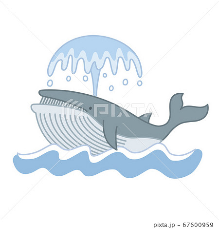 潮を吹くクジラのイラスト素材