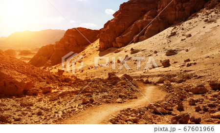 Red scenery of Timna park in Israel 67601966