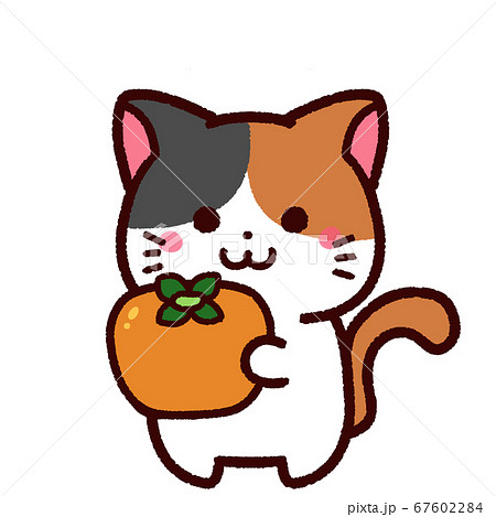柿を持ったかわいい三毛猫のキャラクターのイラスト素材