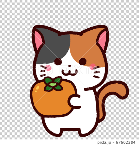 柿を持ったかわいい三毛猫のキャラクターのイラスト素材