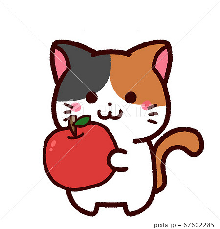 リンゴを持ったかわいい三毛猫のキャラクターのイラスト素材