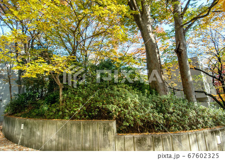 猿楽神社古墳と猿楽神社 猿楽神社古墳と猿楽神社 67602325
