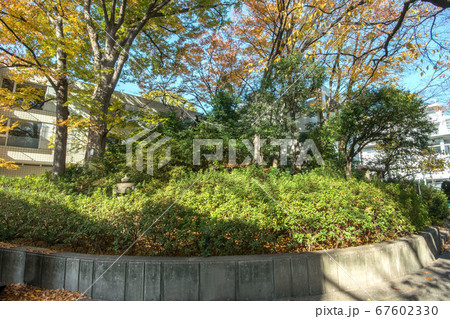 猿楽神社古墳と猿楽神社 67602330