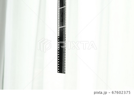 フィルム自家現像 暗室作業 フィルム自家現像 暗室作業 67602375