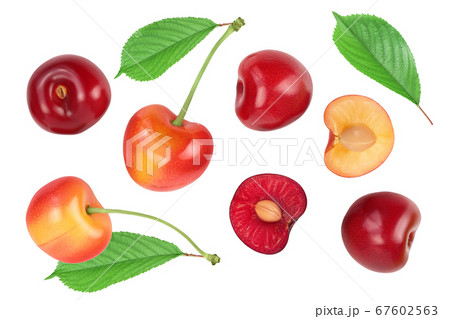 yellow-red sweet cherry isolated on white background with clipping path . Top view. Flat lay 67602563