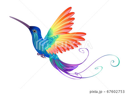 Bright Rainbow Hummingbirdのイラスト素材