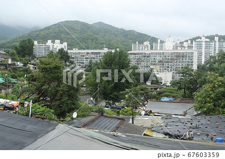 木 風景 建物 67603359