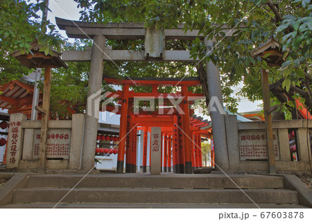 【渋谷区】豊栄稲荷神社の鳥居 【渋谷区】豊栄稲荷神社の鳥居 67603878