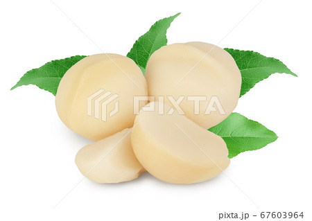 macadamia nuts isolated on white background with clipping path and full depth of field macadamia nuts isolated on white background with clipping path and full depth of field 67603964