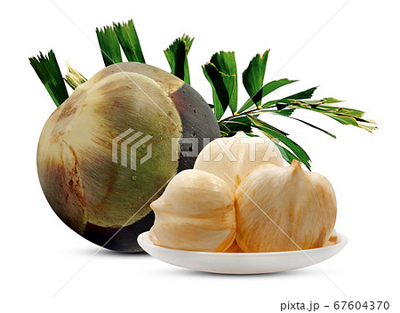 Toddy Palm fruit isolated on white background  67604370