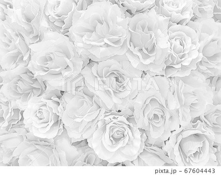 White mable with Rose flower pattern background 67604443