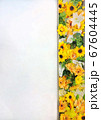 White space with Sunflower background 67604445