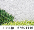Gray brickwall background with green leaf 67604446