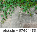 Gray brickwall background with green leaf 67604455
