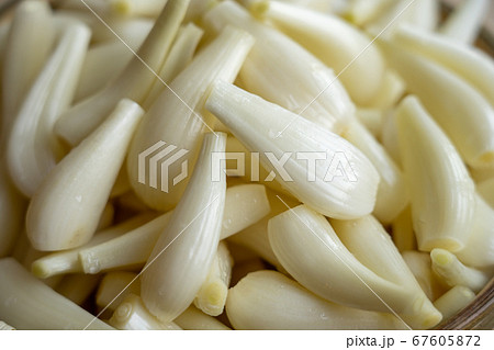 らっきょう漬け 67605872