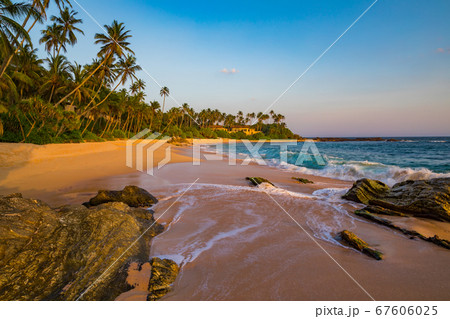 Romantic sunset on a tropical beach with palm trees Romantic sunset on a tropical beach with palm trees 67606025