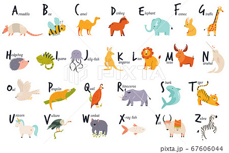 Colorful alphabet with cute funny animals. English - Stock Illustration  [67606044] - PIXTA
