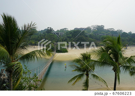 シンガポール セントーサ島 シンガポール セントーサ島 67606223