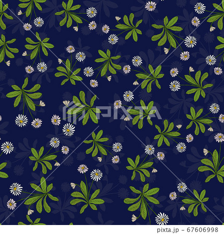 Seamless pattern with spring flowers english daisy Seamless pattern with spring flowers english daisy 67606998