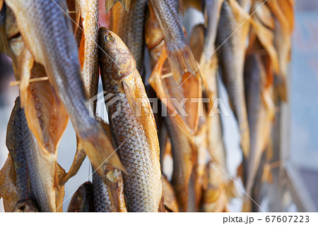 Dried fish hanging rope raw seafood drying salted 67607223
