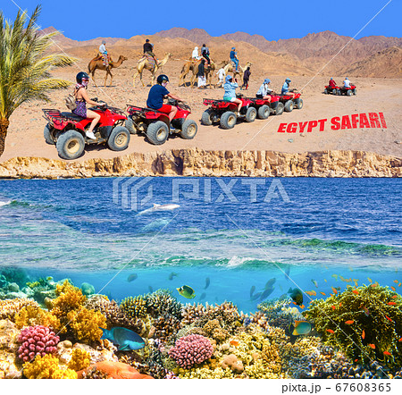 The people at quad tour in the desert in Egypt The people at quad tour in the desert in Egypt 67608365