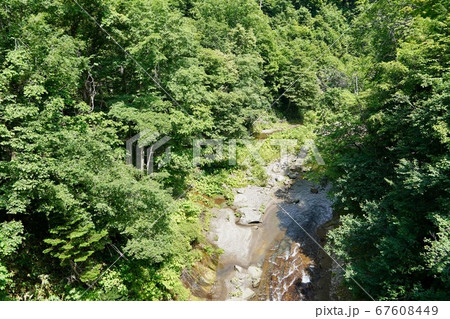 恵庭渓谷・ラルマナイ川 67608449