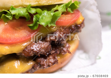 Double cheeseburger with tomato lettuce and onion, 67608469