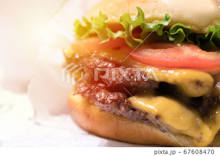 Double cheeseburger with tomato lettuce and onion, 67608470