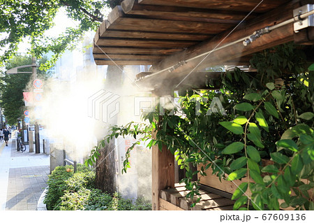 ミストシャワー　ドライミスト　熱中症対策　街角 67609136