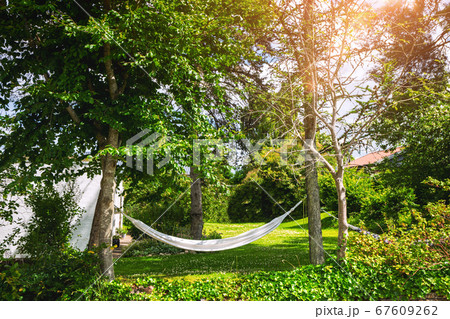 White hammock in a green garden 67609262
